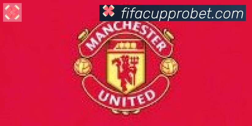 FIFA世界杯竞猜入口合作伙伴